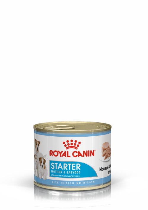 Royal Canin - Starter Mousse