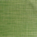 APS - Placemat Apple Green 45x33cm (β)