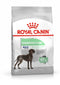 Royal Canin - Ccn Maxi Diges Care 10Kg