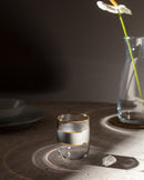 Madame Coco - Musette - Heike Platinium 4-Piece Water Glass Set - 270Ml
