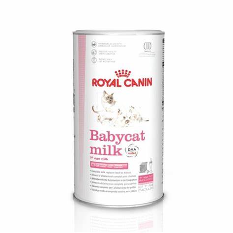 Royal Canin - Fhn Babycat Milk 300G