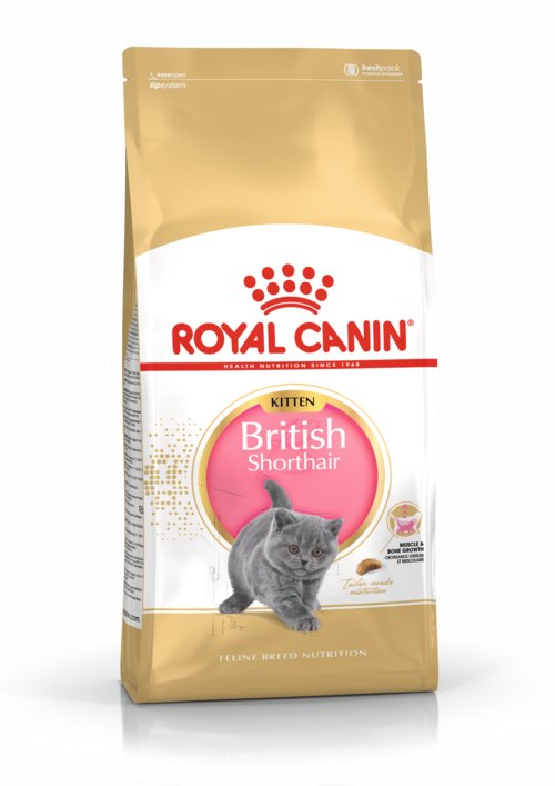 Royal Canin - Fbn Kitten British Shorthair 2K