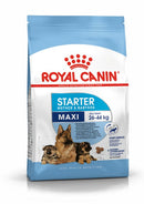 Royal Canin - Shn Maxi Starter M&B 1Kg