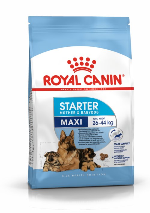 Royal Canin - Shn Maxi Starter 15K